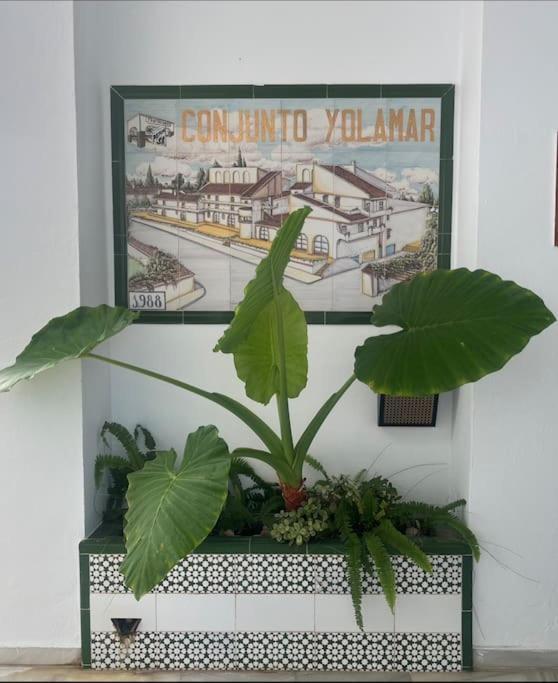 Love Rent4 Malaga Yolamar Benalmadena Exterior photo